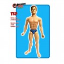 TED brown hair (Nude figure)