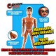 BOB (Figure with defects)