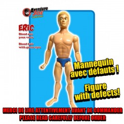 ERIC (Figure with defects)